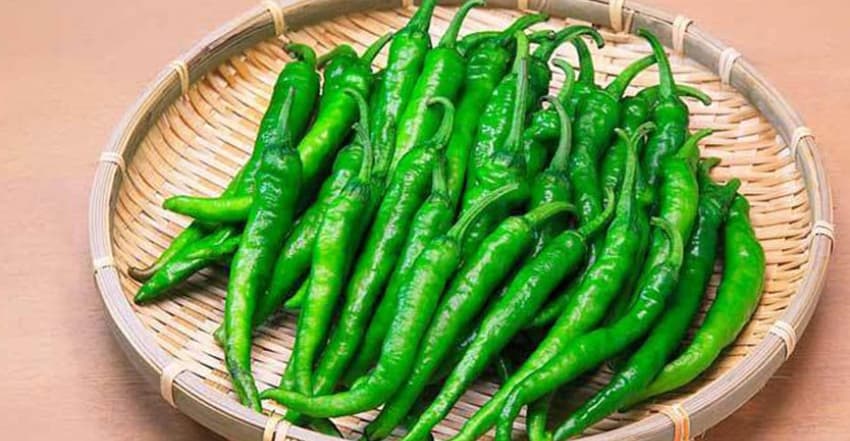 কাঁচা মরিচের দাম বেড়ে কেজিতে ৩০০ টাকা