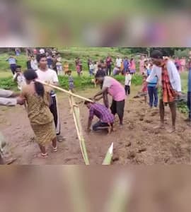 ওড়িশায় আত্মীয়কে প্রেম করে বিয়ে করায় নবদম্পতিকে জোয়ালে বেঁধে হালচাষ করালো গ্রামবাসী