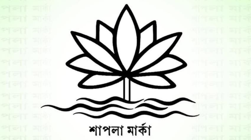 শাপলা প্রতীক না দেওয়ার  কারণ জানালেন সিইসি