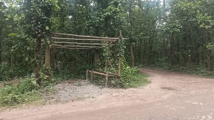 গাজীপুরে ডাকাতি ঠেকাতে বানানো পুলিশ চেকপোস্টের টিন খুলে নিল চোর