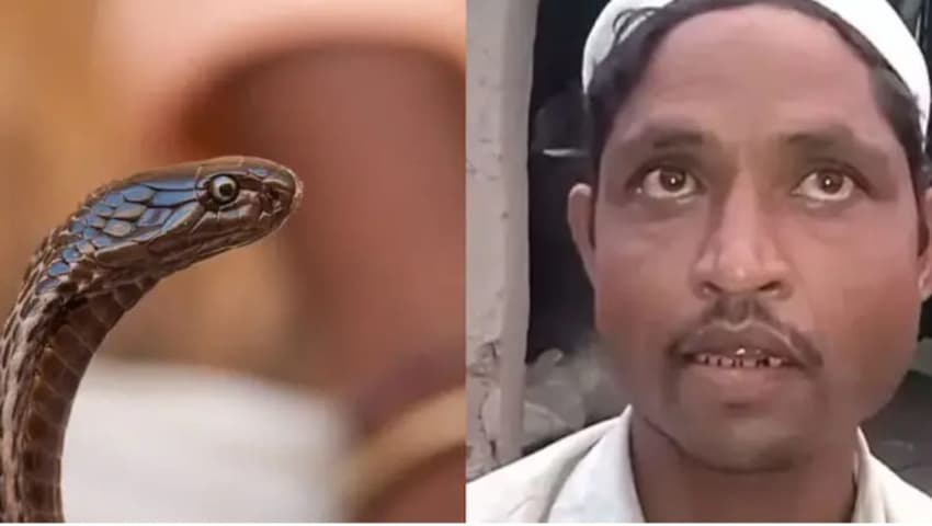 ভারতে স্ত্রীর 'সাপ রূপ ধারণ' করার অদ্ভুত অভিযোগ! সত্যি নাকি কুসংস্কার?